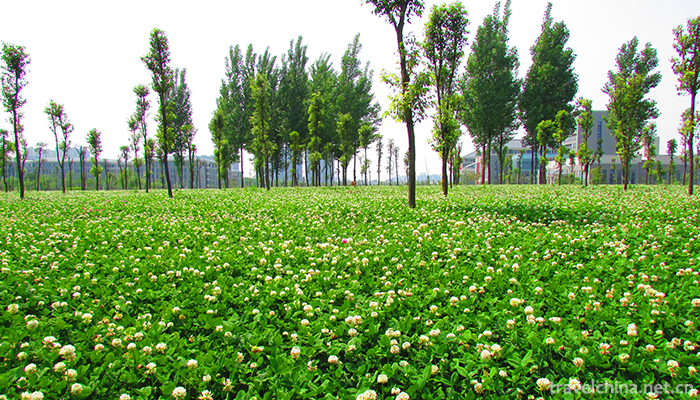 Chengdu-Medical-College1