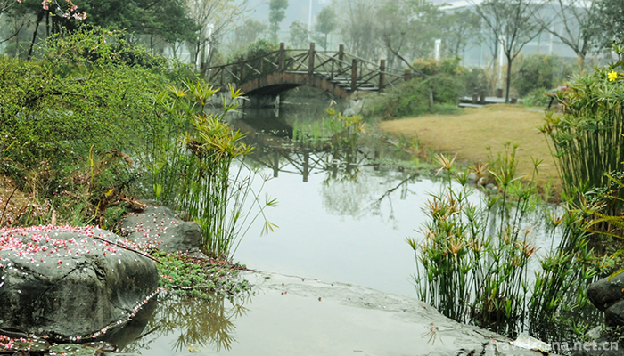 leshan-normal-university2