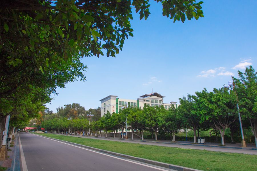 大学东路1