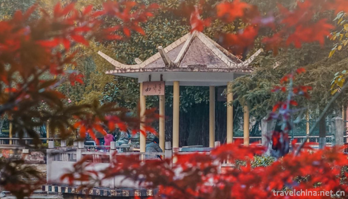 Chengdu-University-of-Technology1