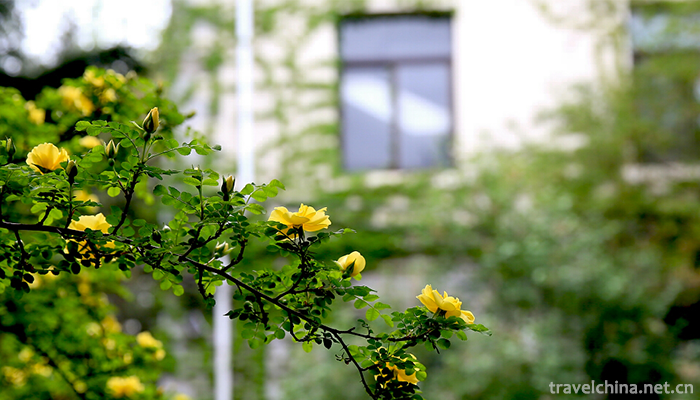 University-Of-Science-and-Technology-Beijing4