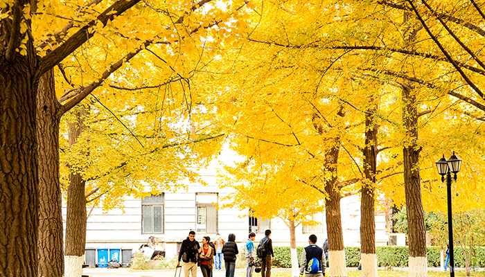 University-Of-Science-and-Technology-Beijing8