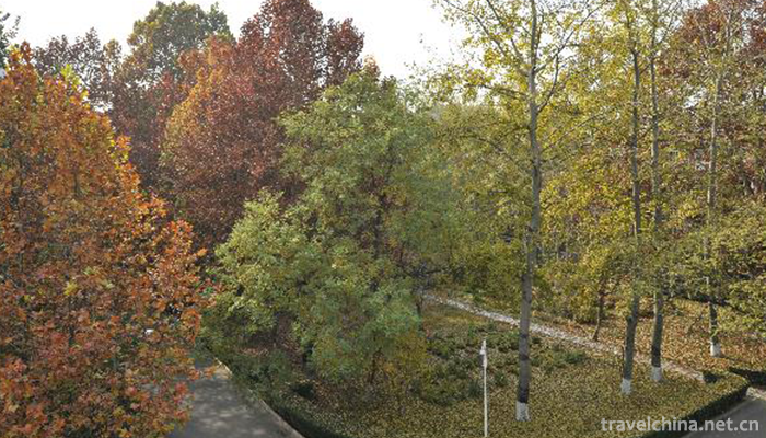Beijing-Language-and-Culture-University1