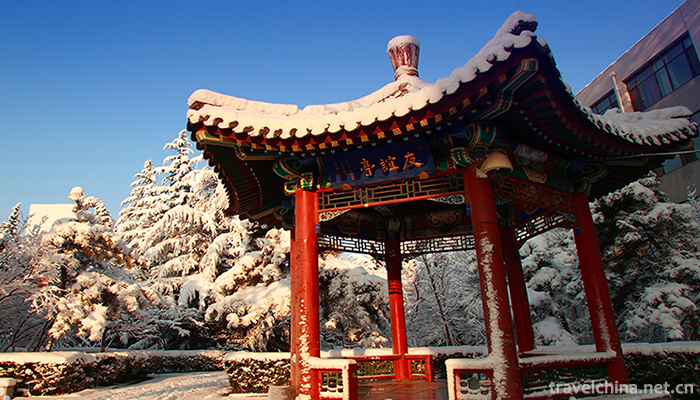 Beijing-University-of-Chinese-Medicine2