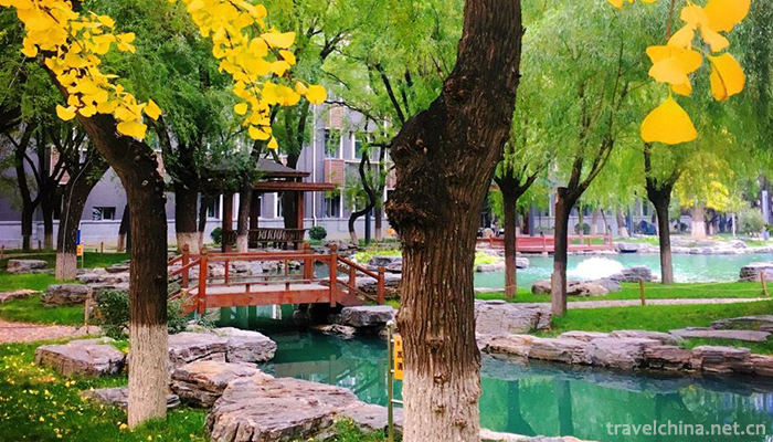 Communication-University-Of-China3
