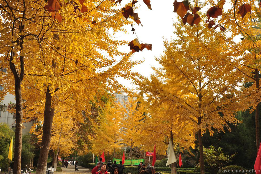 China-University-of-Labor-Relations1