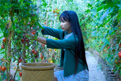 Liziqi