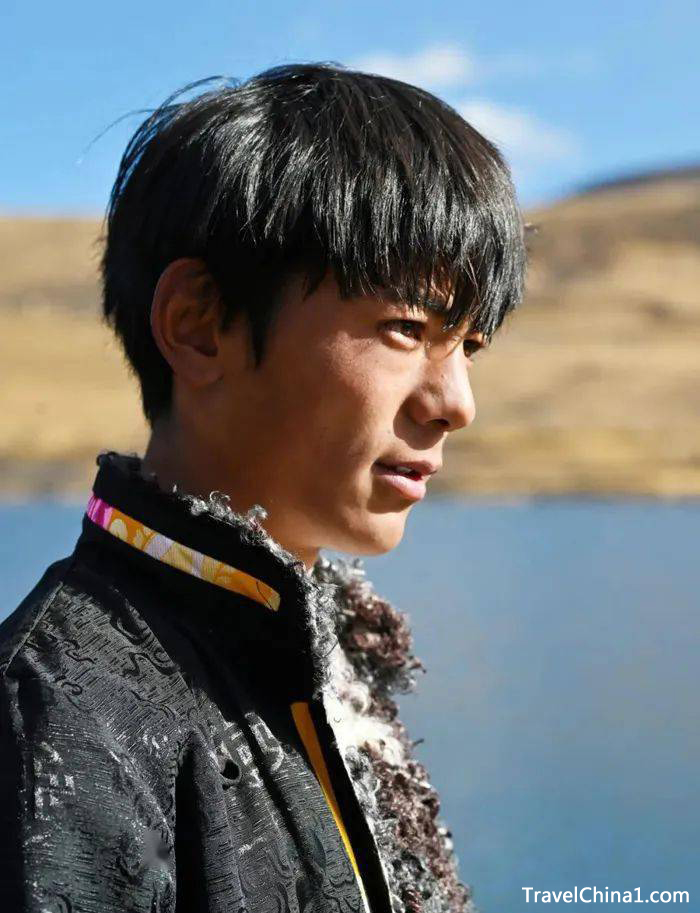 dingzhen12