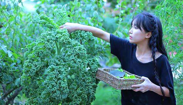 Li Ziqi, what I need most is courage