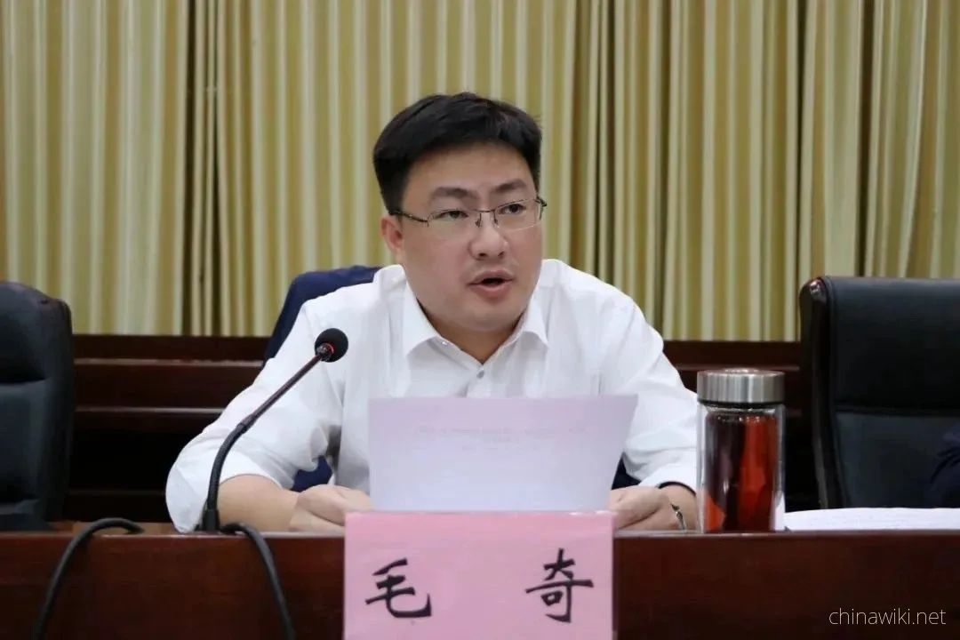 Mao Qi had an inappropriate relationship with a female subordinate