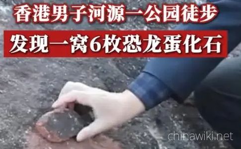 ChinaWiki