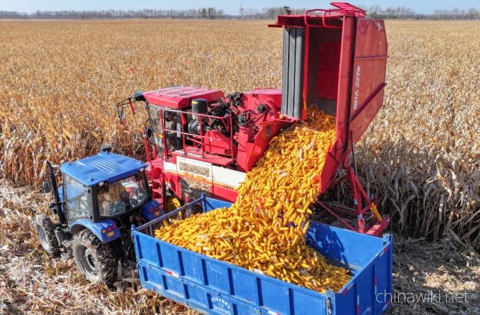 China empowers grain production through technological innovation