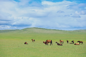 Inner Mongolia